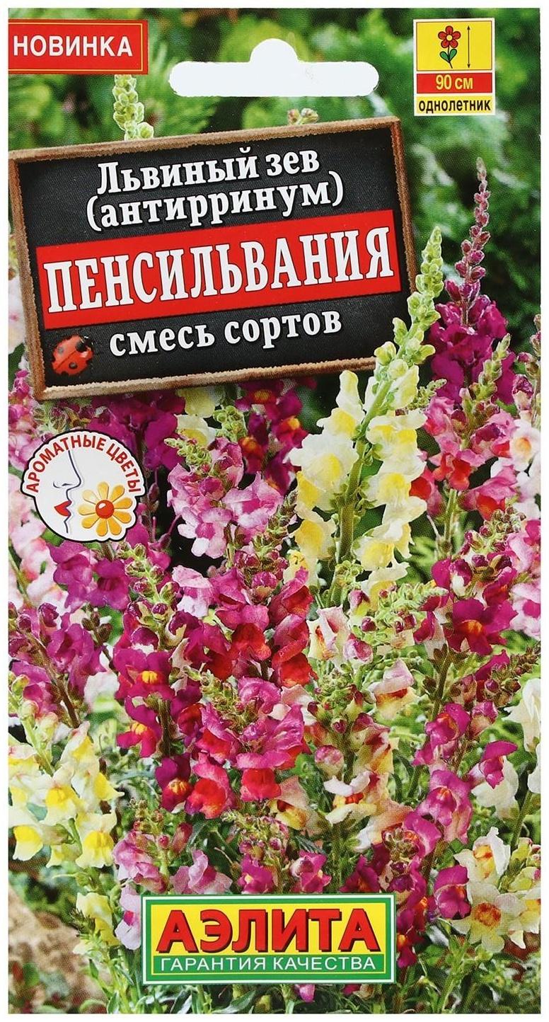 Семена Цветов Львиный зев 
