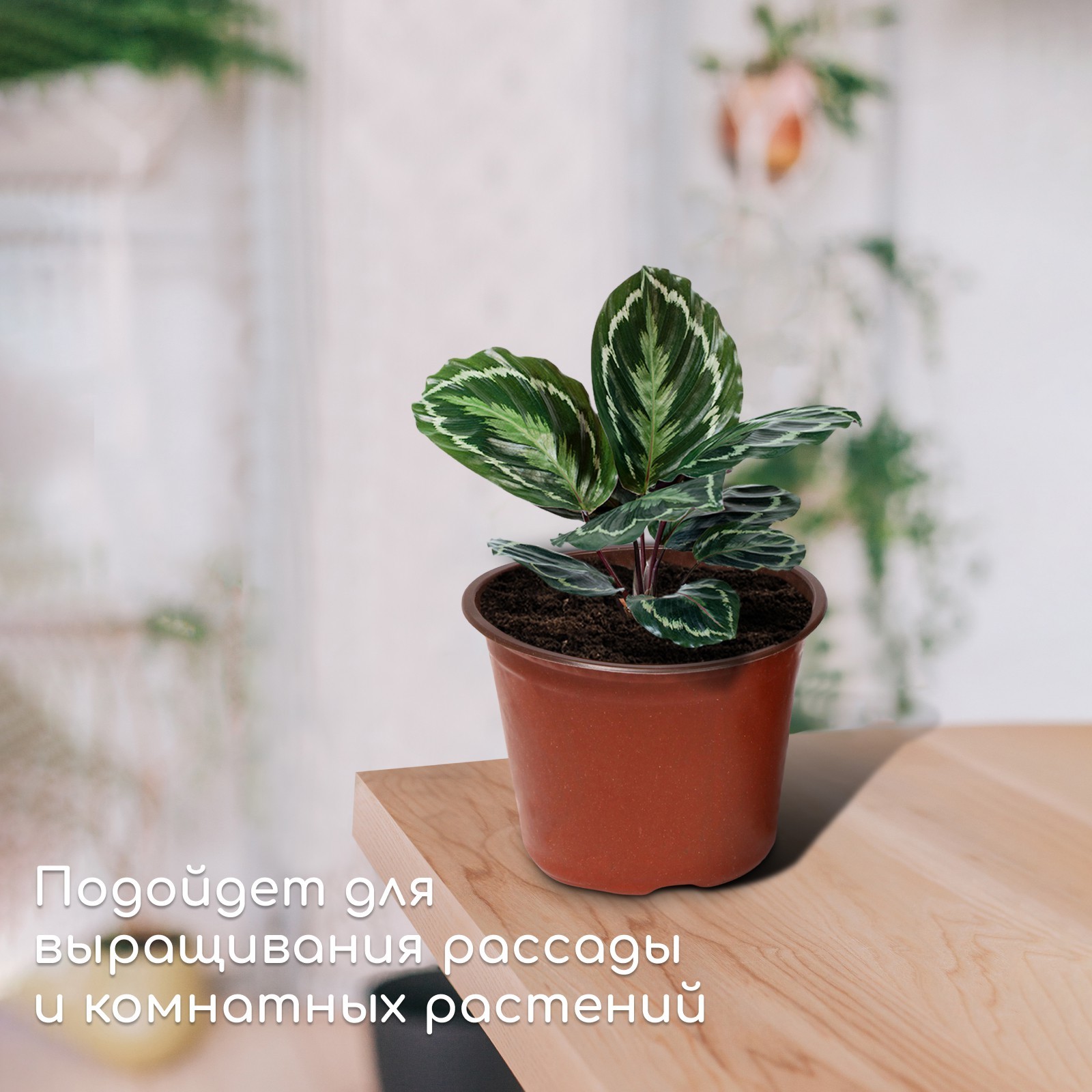 Горшок для рассады, 1 л, d = 12,5 см, h = 9,5 см, терракот, Greengo / 20 шт.