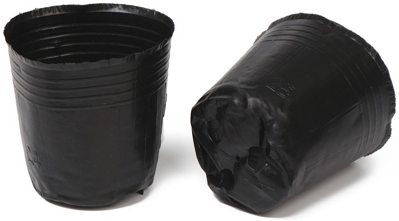 Горшок для рассады Greengo, 300 мл, 9 × 9 × 8 см, 50 шт.