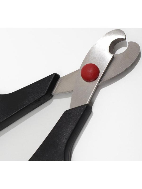 Ножницы-когтерезы средние с упором для пальца, 13,5х6,5х0,8 см, эконом, микс цветов  2581892   76643