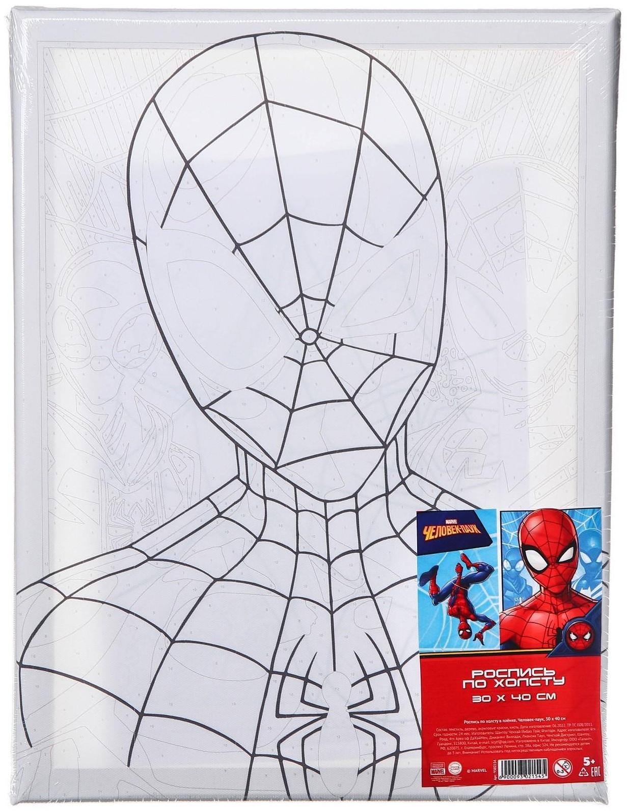 Картина по номерам в плёнке, Человек-Паук 30х40 см