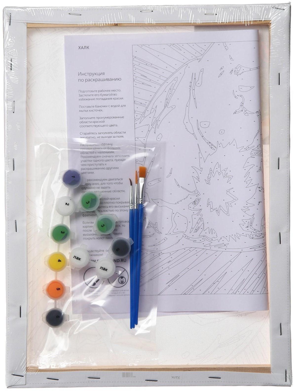 Картина по номерам в плёнке 