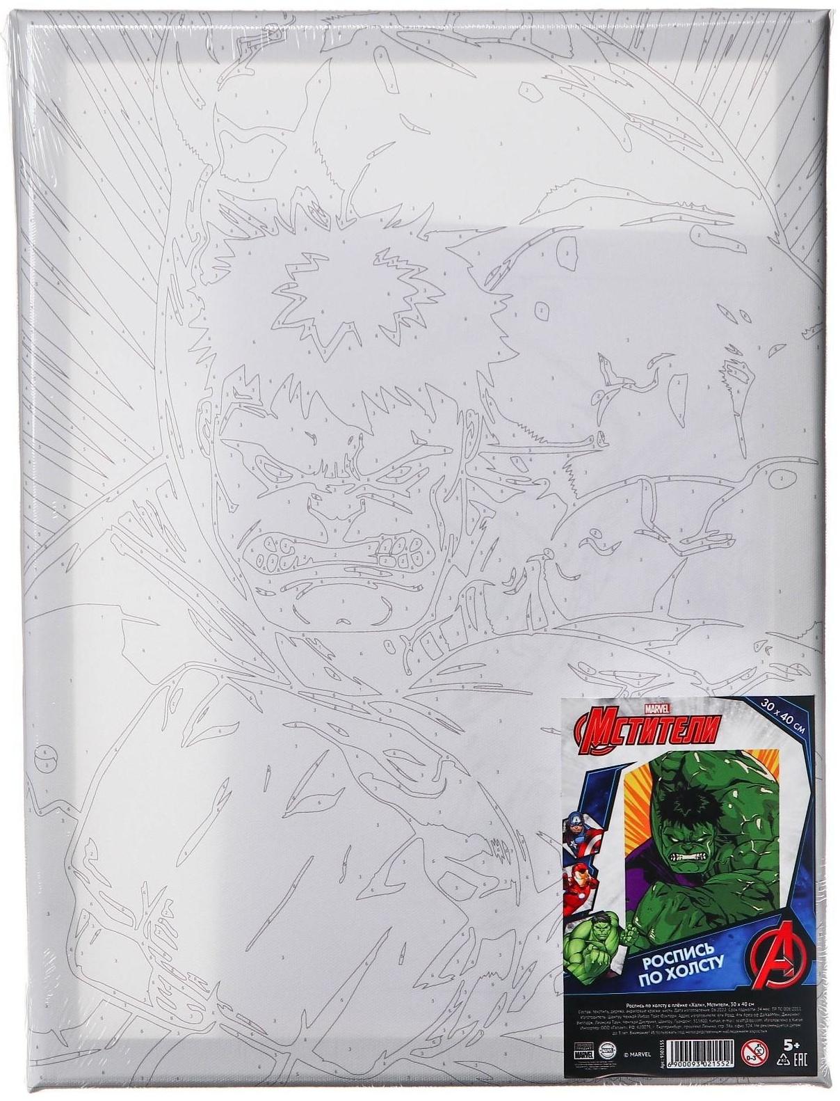 Картина по номерам в плёнке 