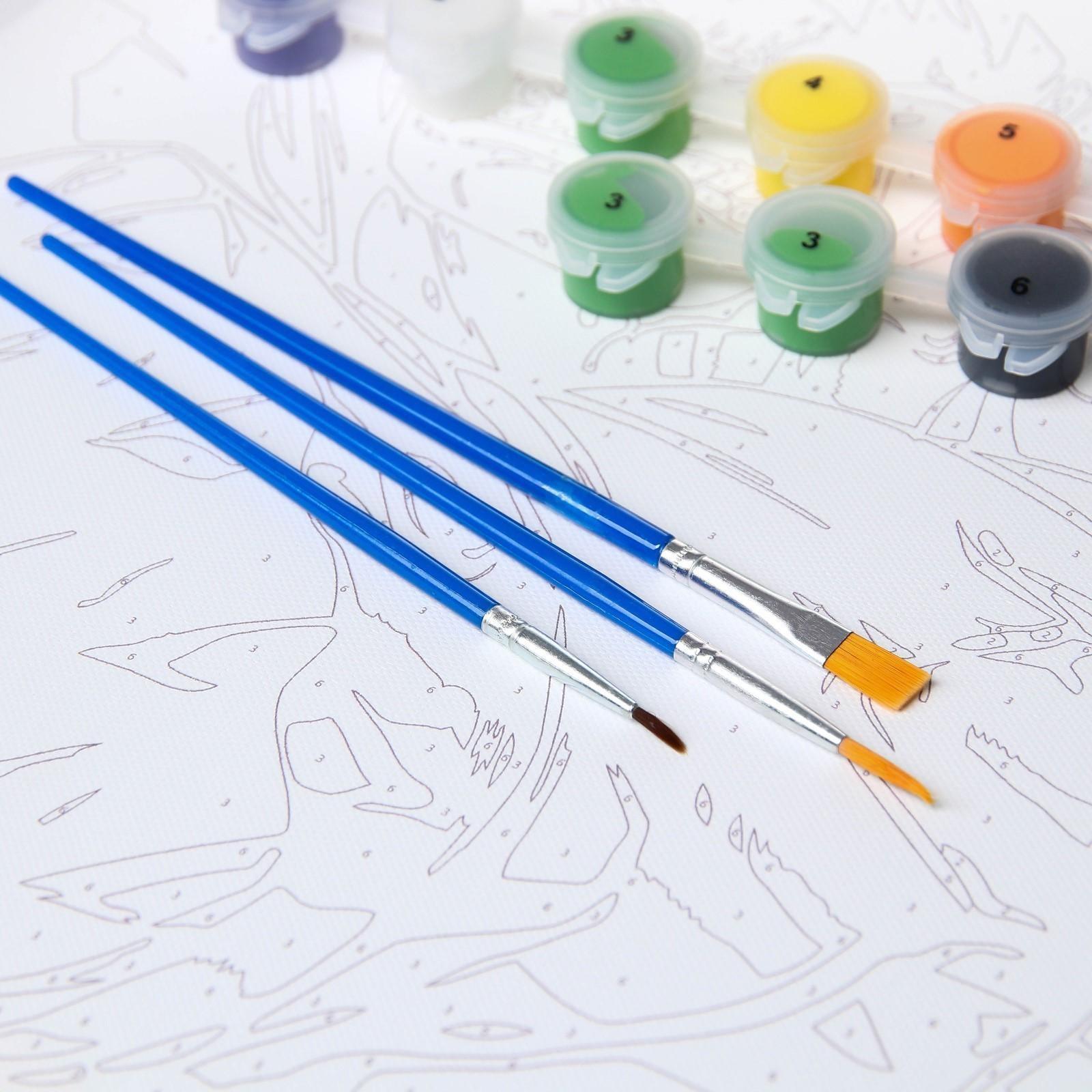 Картина по номерам в плёнке 