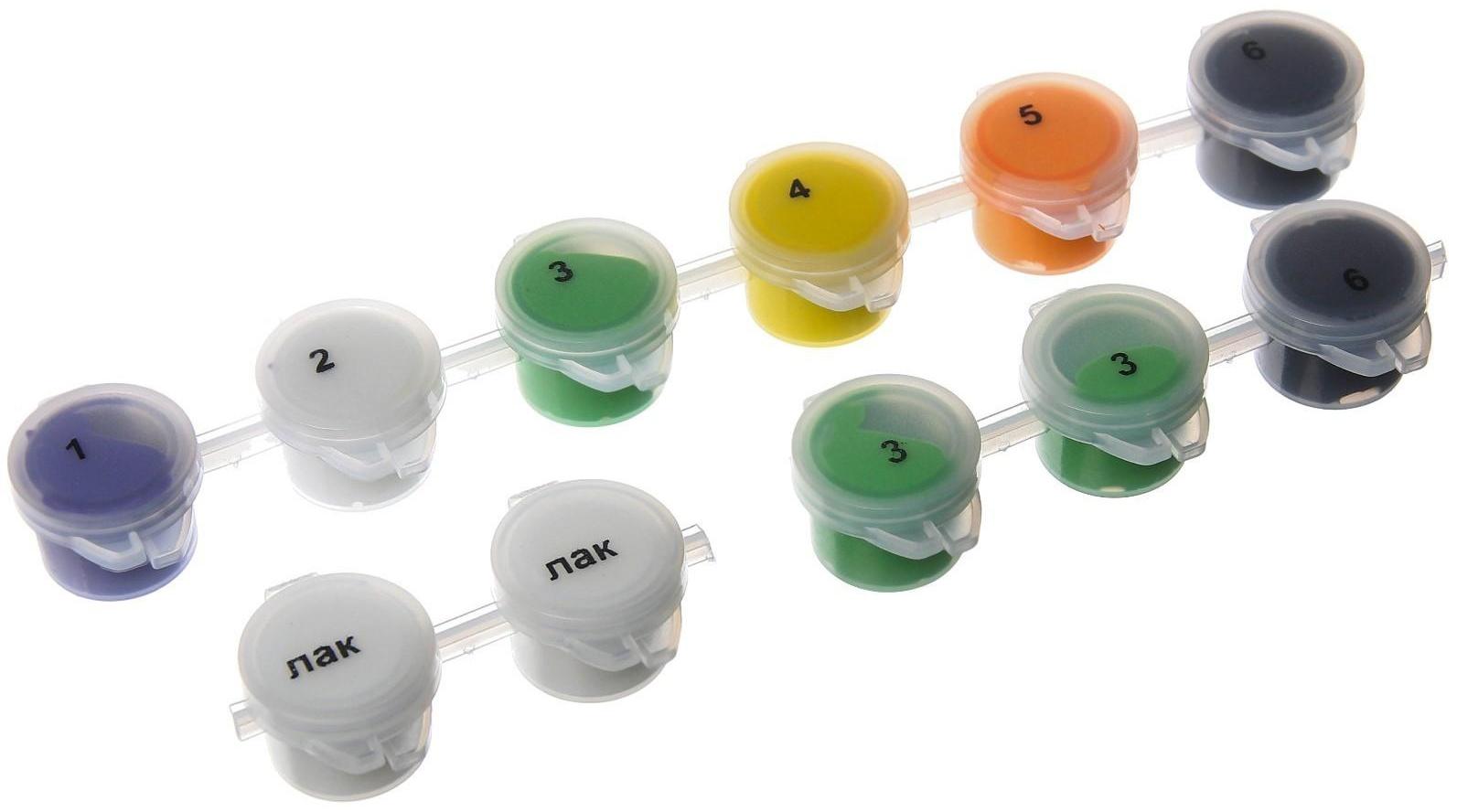 Картина по номерам в плёнке 