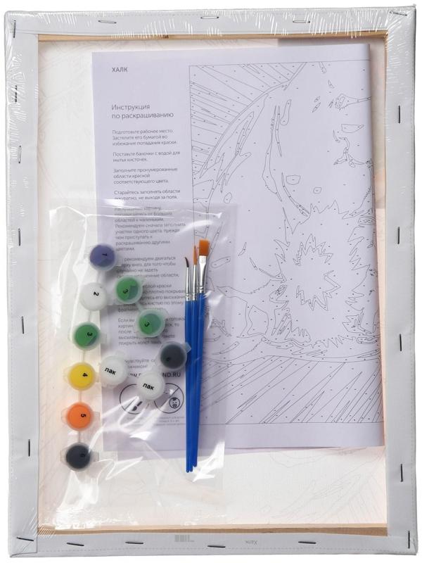 Картина по номерам в плёнке 