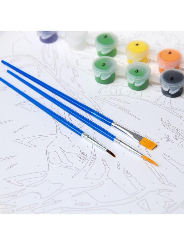 Картина по номерам в плёнке 