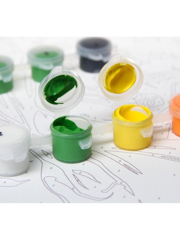 Картина по номерам в плёнке 