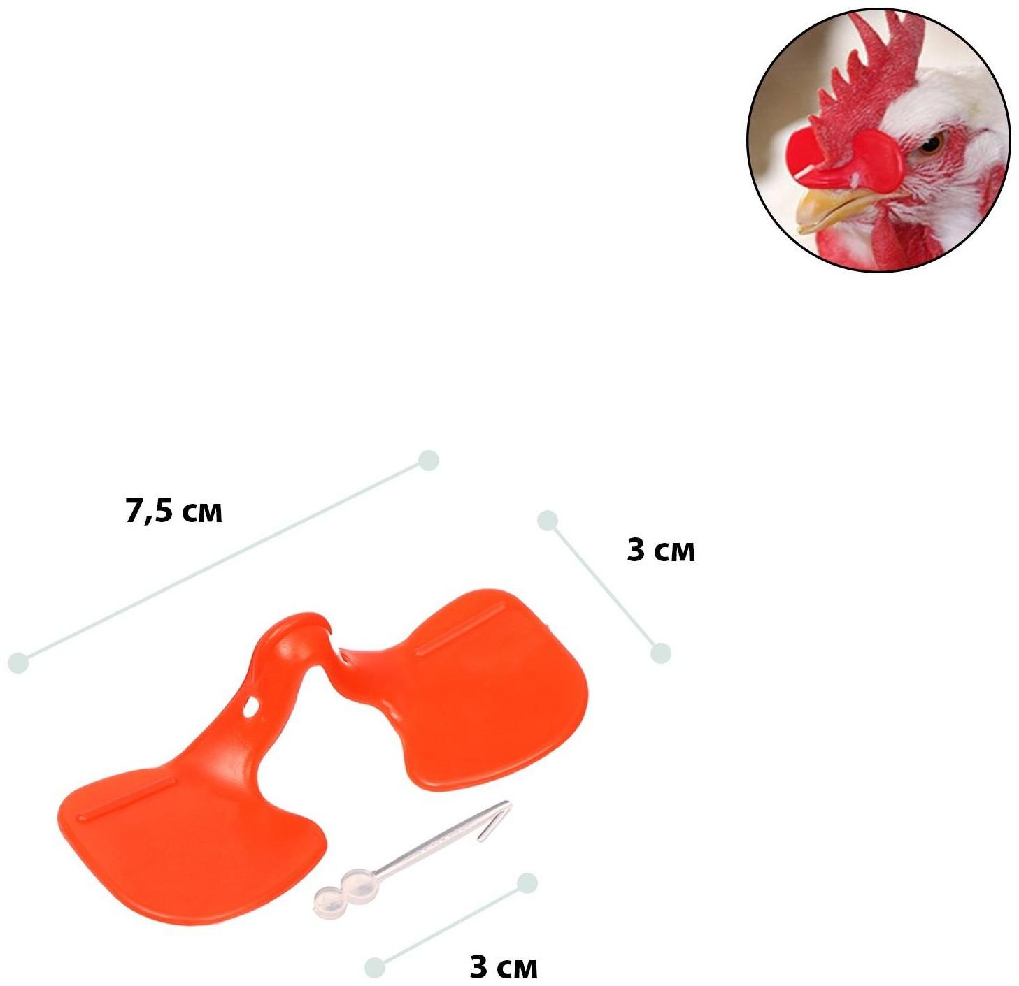 Очки для птиц, со стрелой, пластик