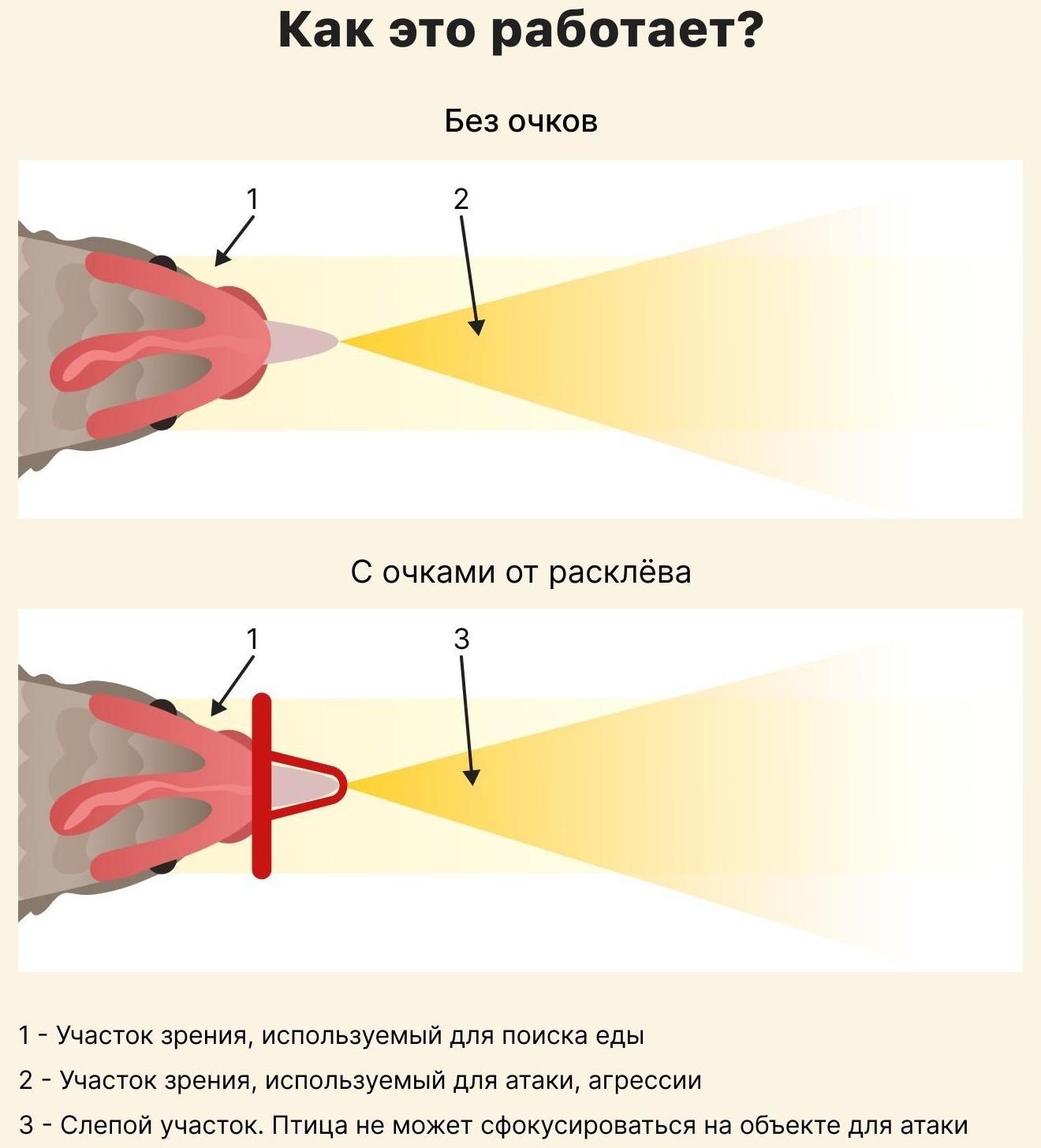 Очки для птиц, со стрелой, пластик