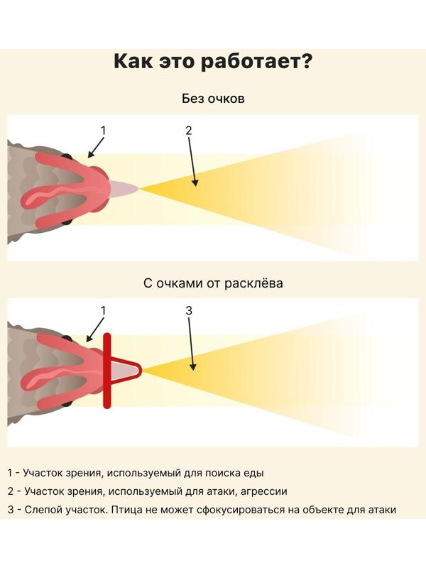 Очки для птиц, со стрелой, пластик