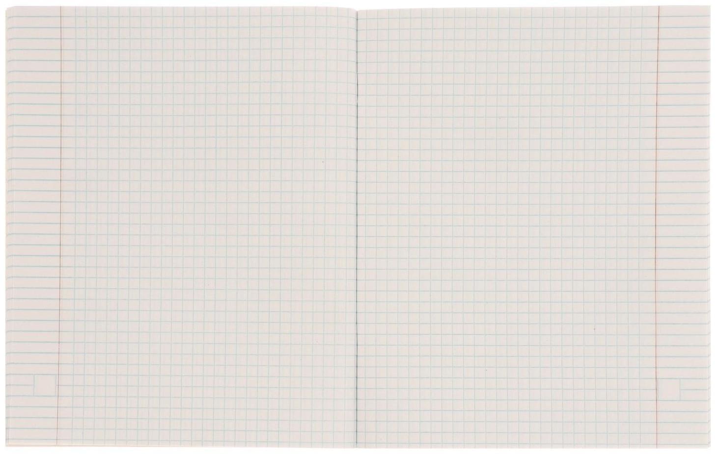 Тетрадь 48 листов в клетку 