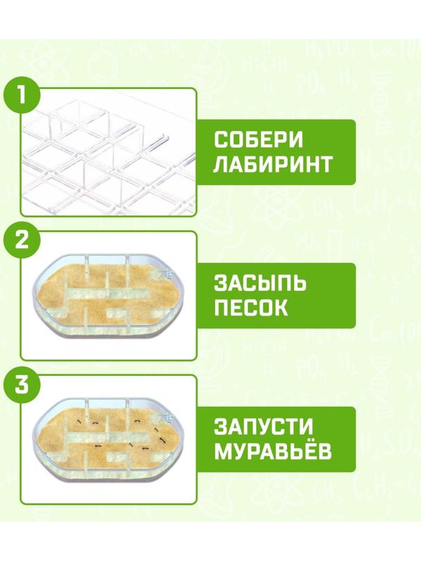 Набор для опытов «Лабиринт для муравьёв»