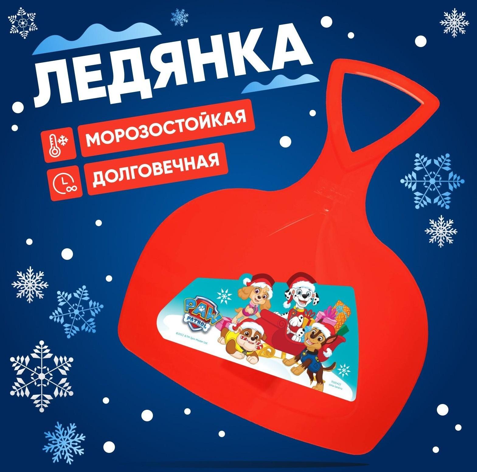 Ледянка Paw Patrol