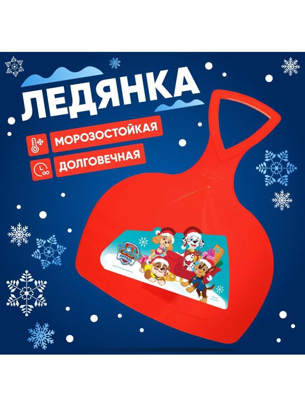 Ледянка Paw Patrol