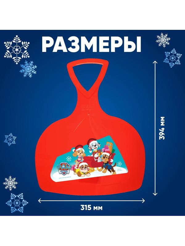 Ледянка Paw Patrol