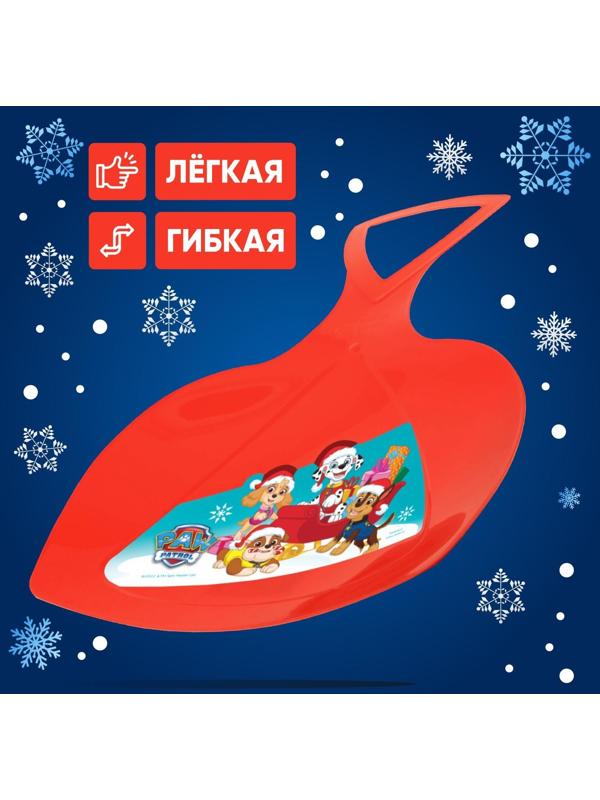 Ледянка Paw Patrol