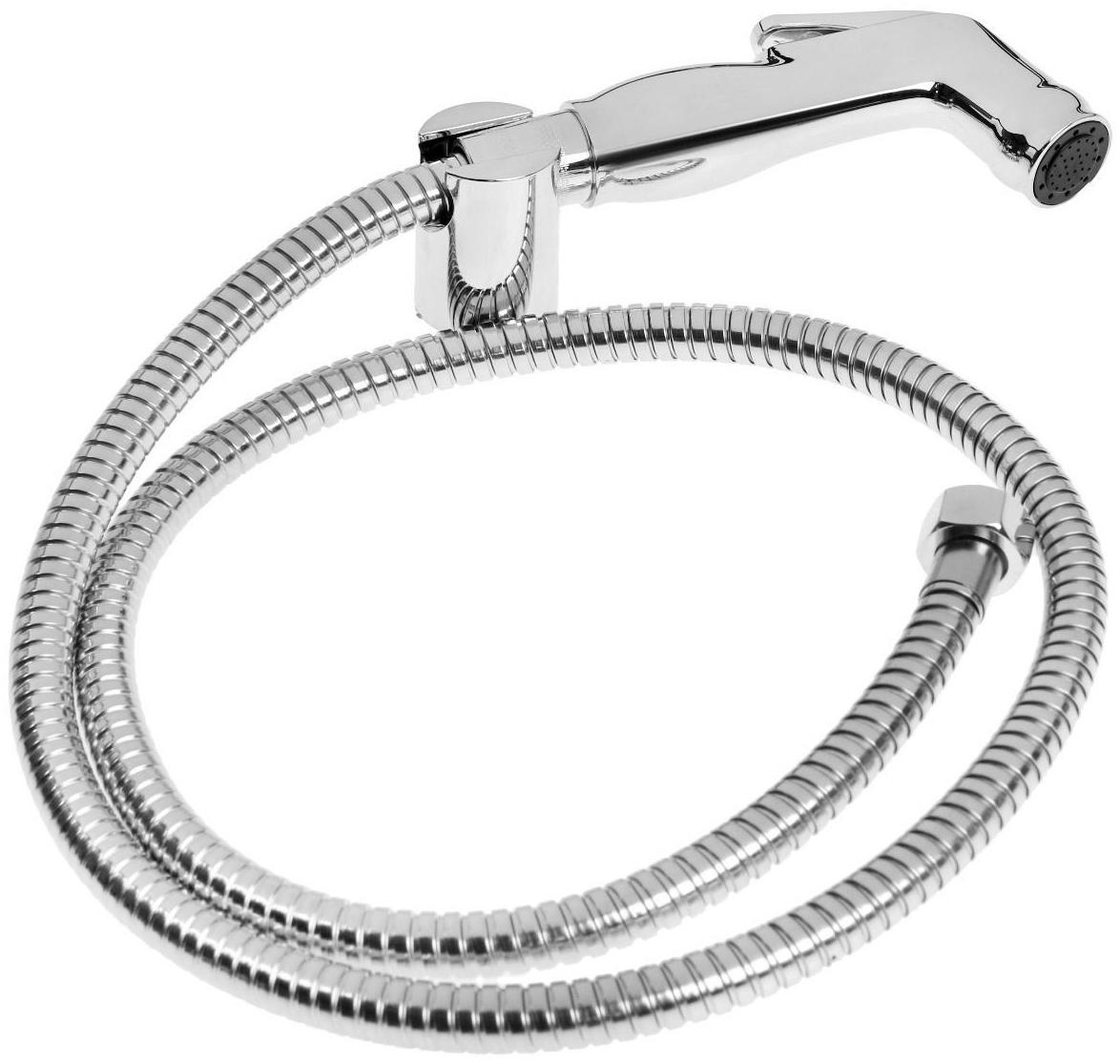 Смеситель для биде Accoona A3290-7, с гигиеническим душем, настенный, хром