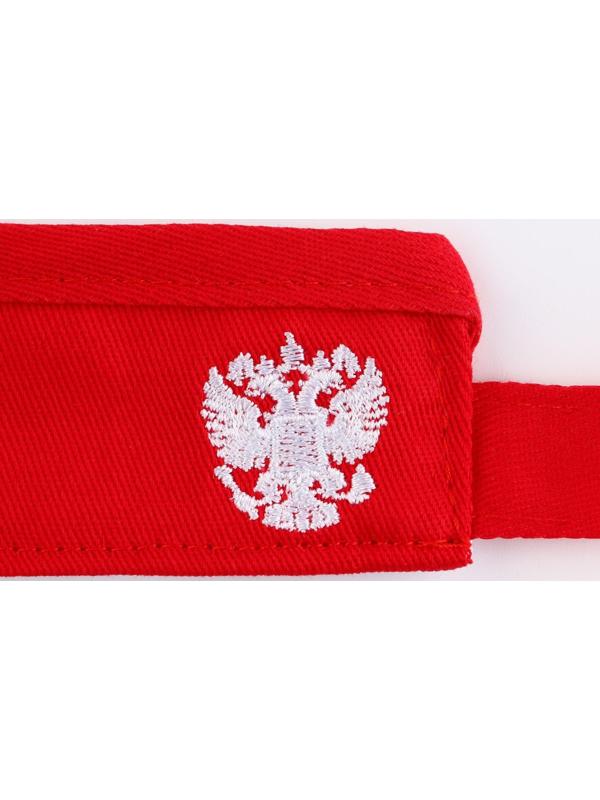 Козырек «President», цвет красный