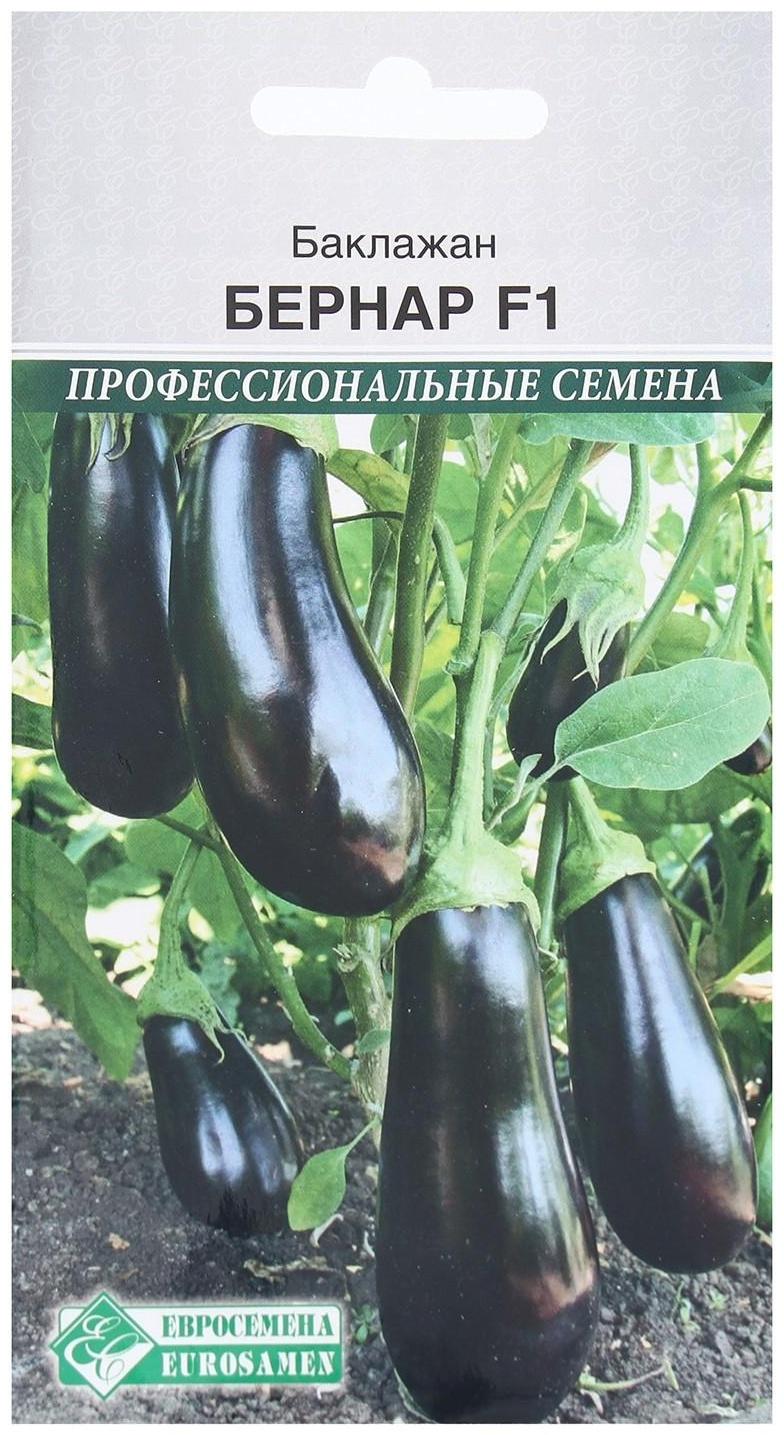 Семена Баклажан Бернар F1, 10 шт