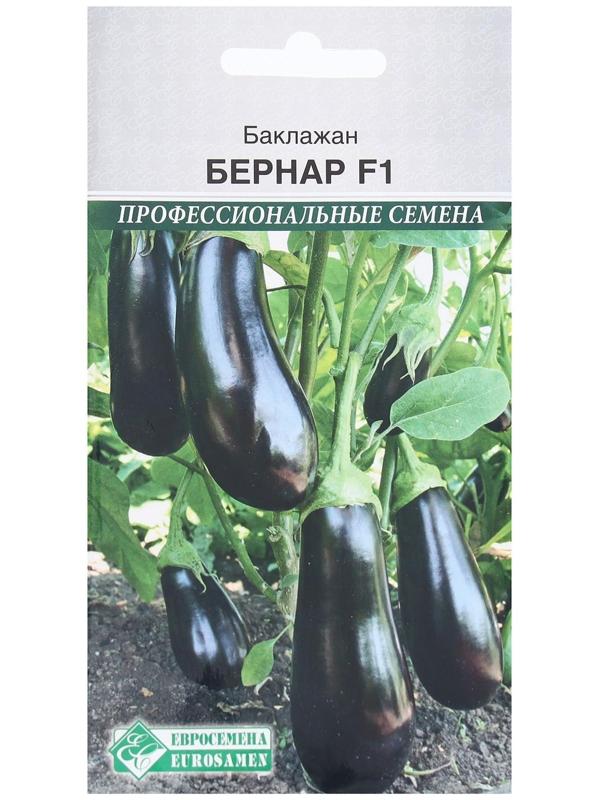 Семена Баклажан Бернар F1, 10 шт