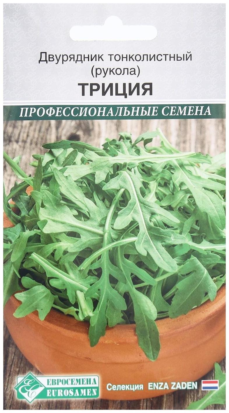 Семена Двурядник тонколистный, рукола Триция, 0,5 г