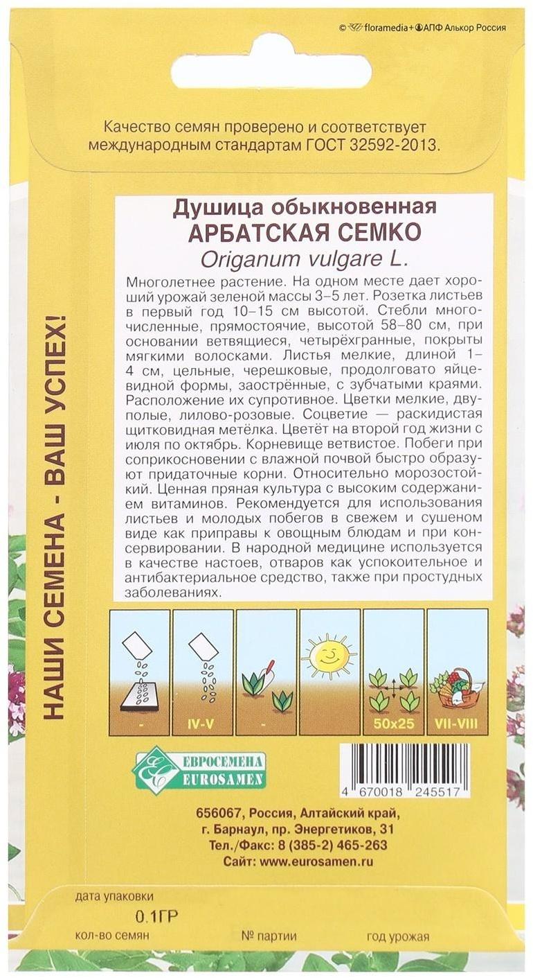 Семена Душица обыкновенная Арбатская Семко, 0,1 г