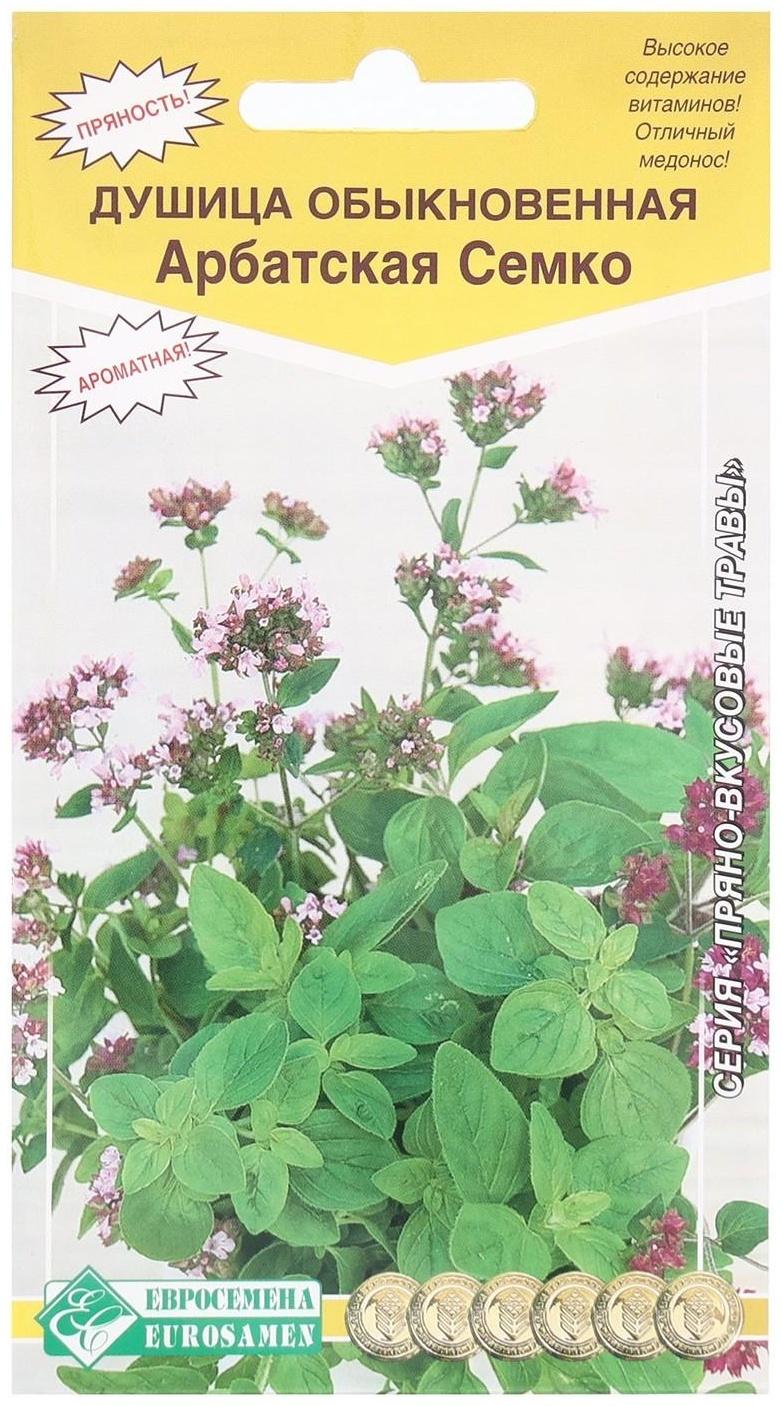 Семена Душица обыкновенная Арбатская Семко, 0,1 г