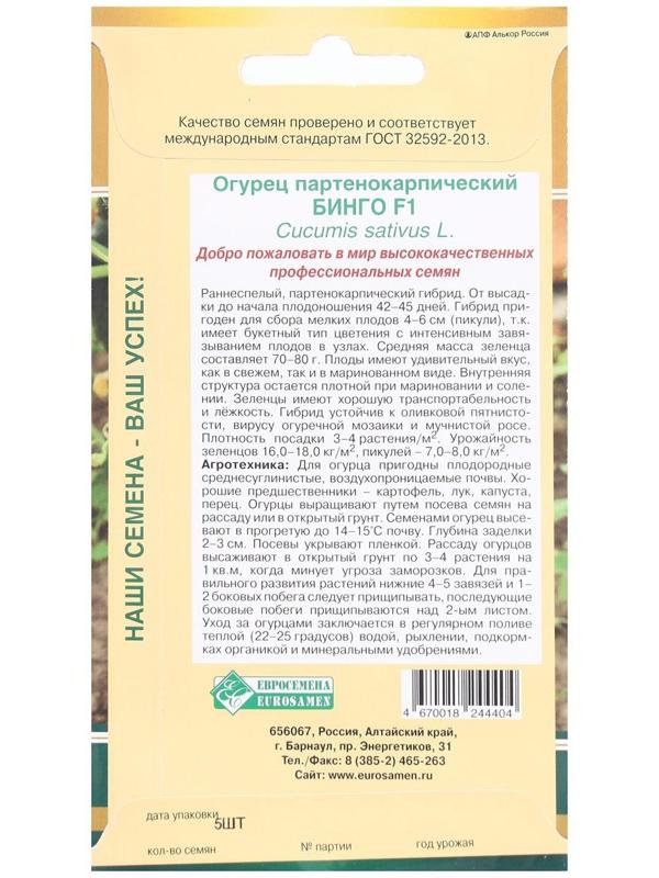 Семена Огурец партенокарпик Бинго F1, 5 шт
