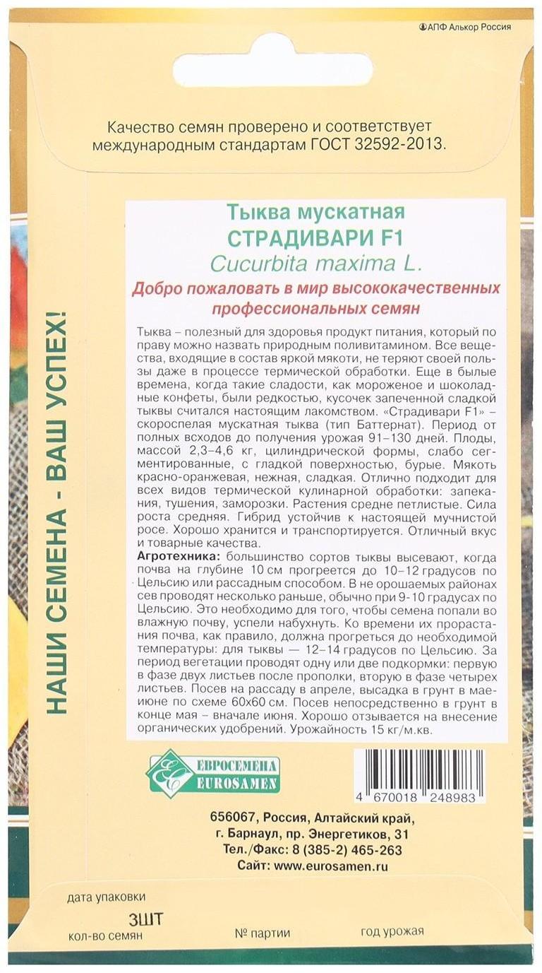 Семена Тыква мускатная Страдивари, 3 шт