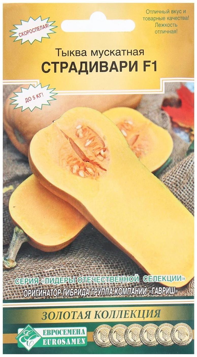 Семена Тыква мускатная Страдивари, 3 шт