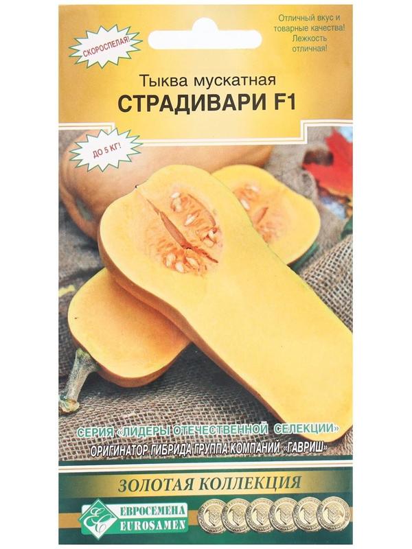 Семена Тыква мускатная Страдивари, 3 шт