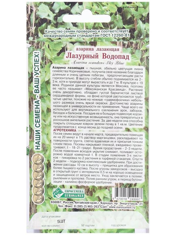 Семена Цветов Азарина лазающая Лазурный Водопад, 5 шт