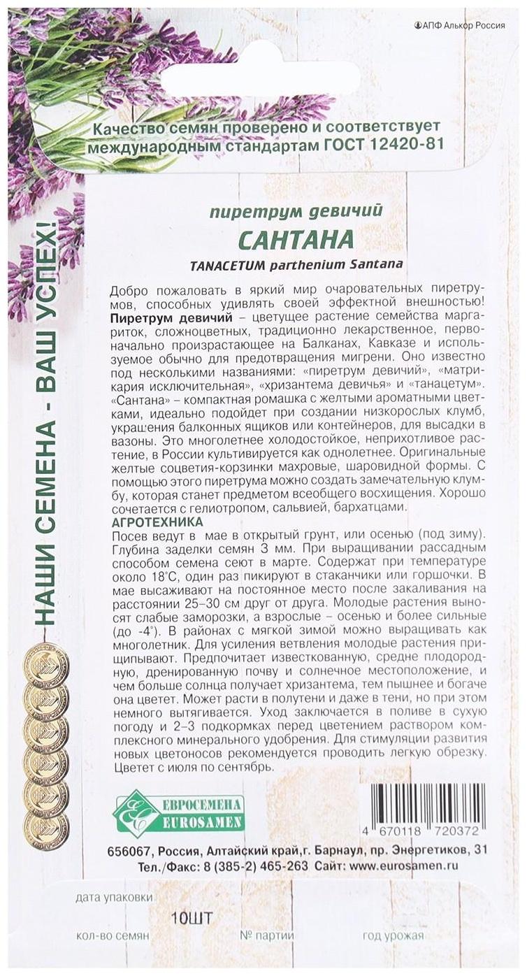 Семена Цветов Пиретрум девичий Сантана, 10 шт