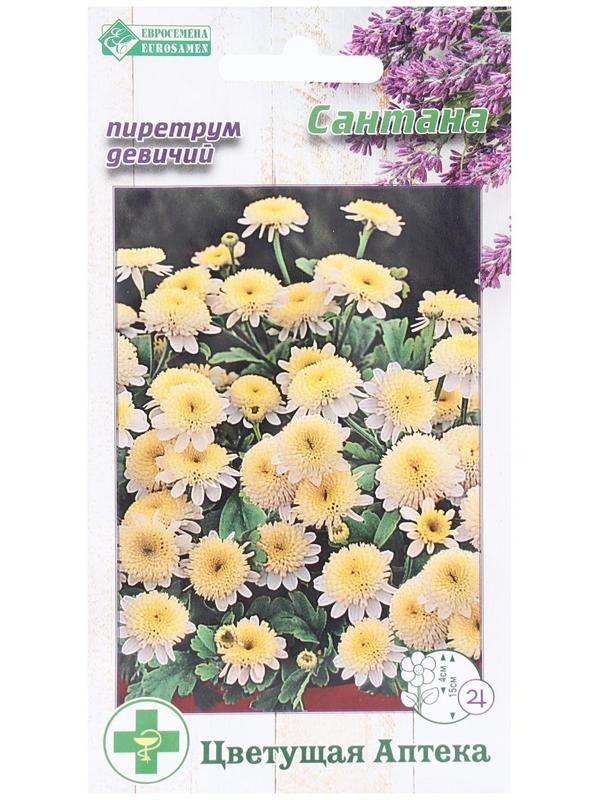 Семена Цветов Пиретрум девичий Сантана, 10 шт