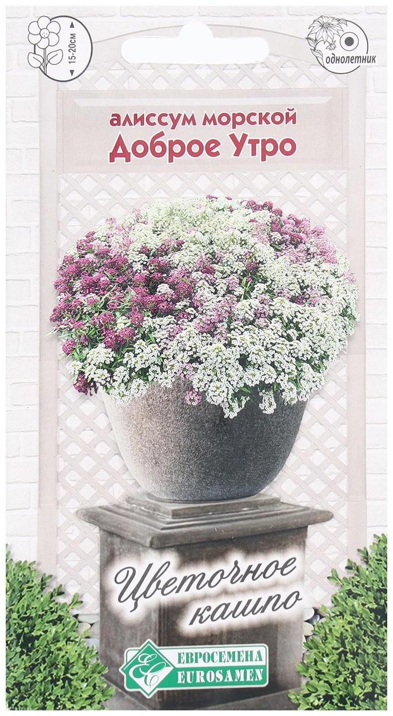 Семена Цветов Алиссум морской Доброе Утро, 0,06 г