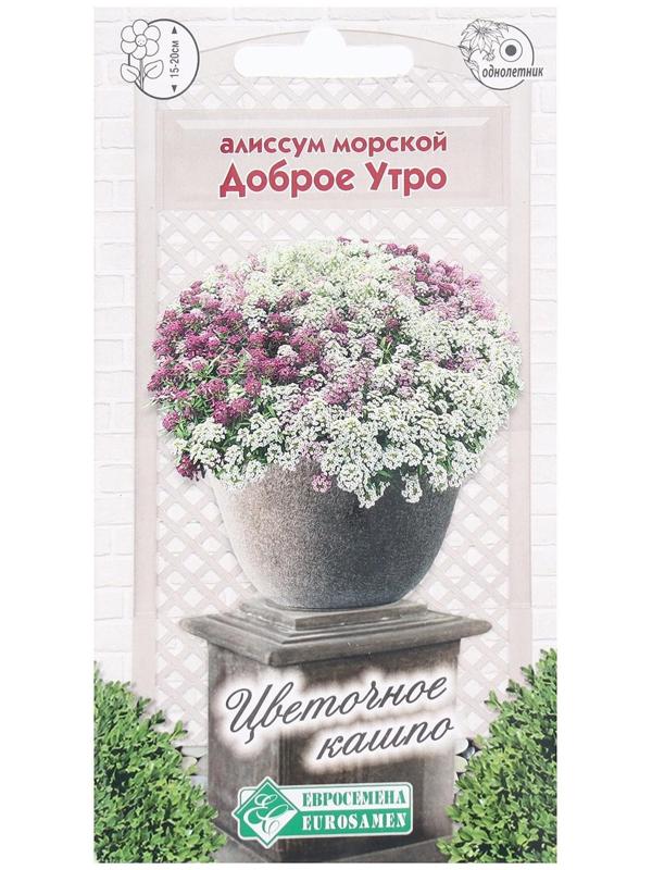 Семена Цветов Алиссум морской Доброе Утро, 0,06 г