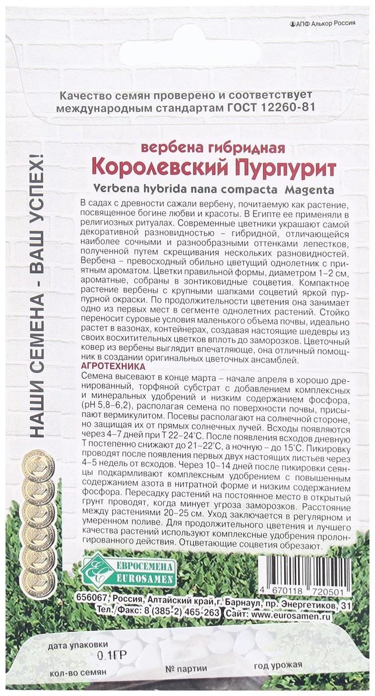 Семена Цветов Вербена гибридная Королевский Пурпурит, 0,1 г