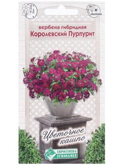 Семена Цветов Вербена гибридная Королевский Пурпурит, 0,1 г