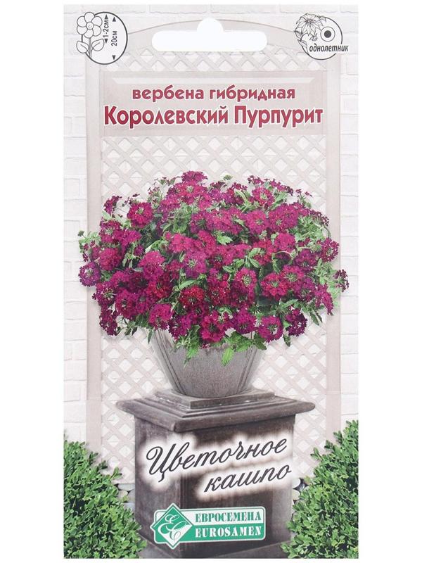 Семена Цветов Вербена гибридная Королевский Пурпурит, 0,1 г