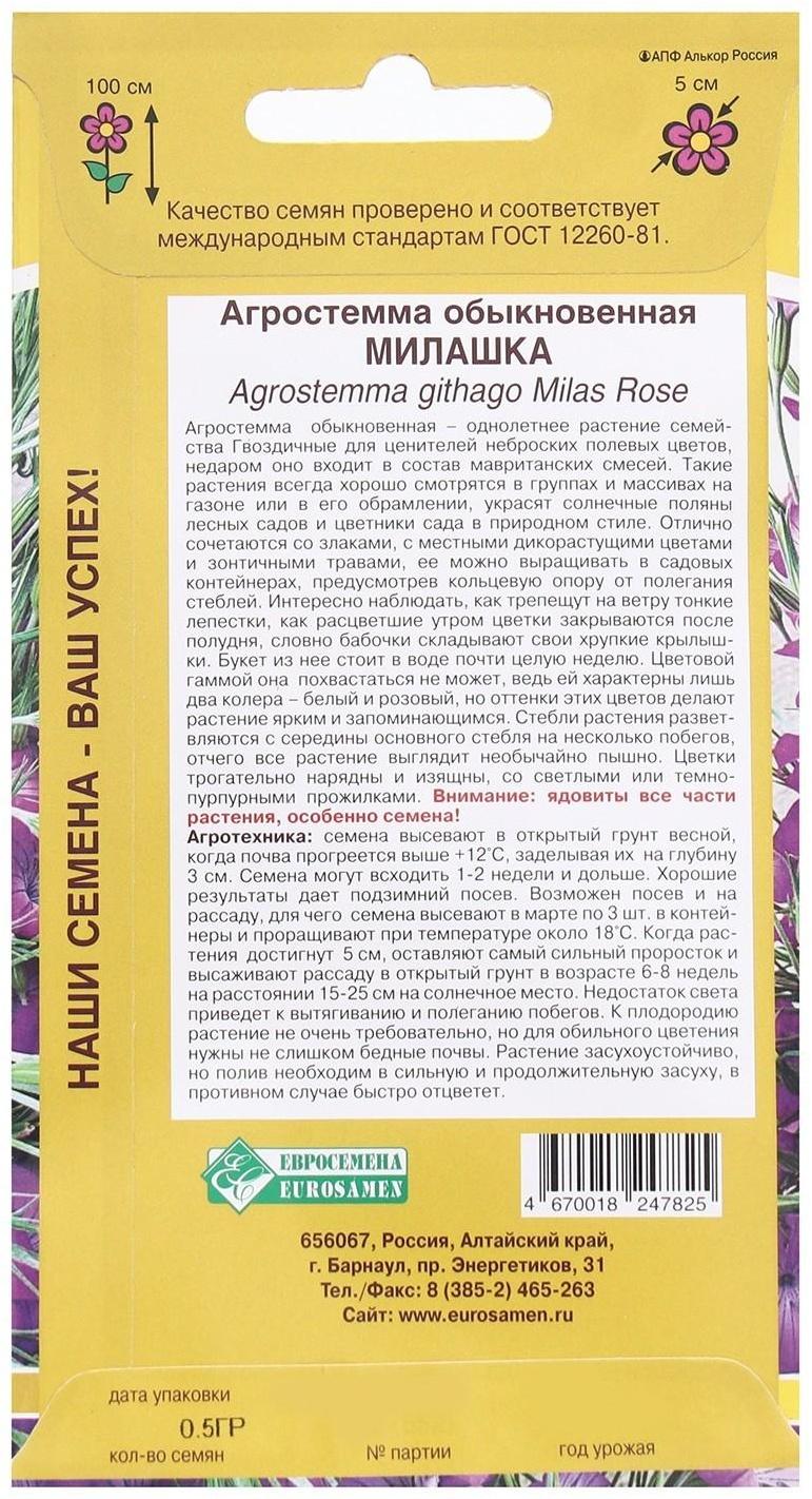 Семена Цветов Агростемма обыкновенная Милашка , 0,5 г