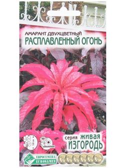 Семена Цветов Амарант двухцветный Расплавленный Огонь, 0,1 г