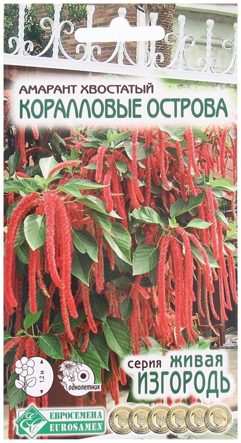 Семена Цветов Амарант хвостатый Коралловые Острова, 0,1 г