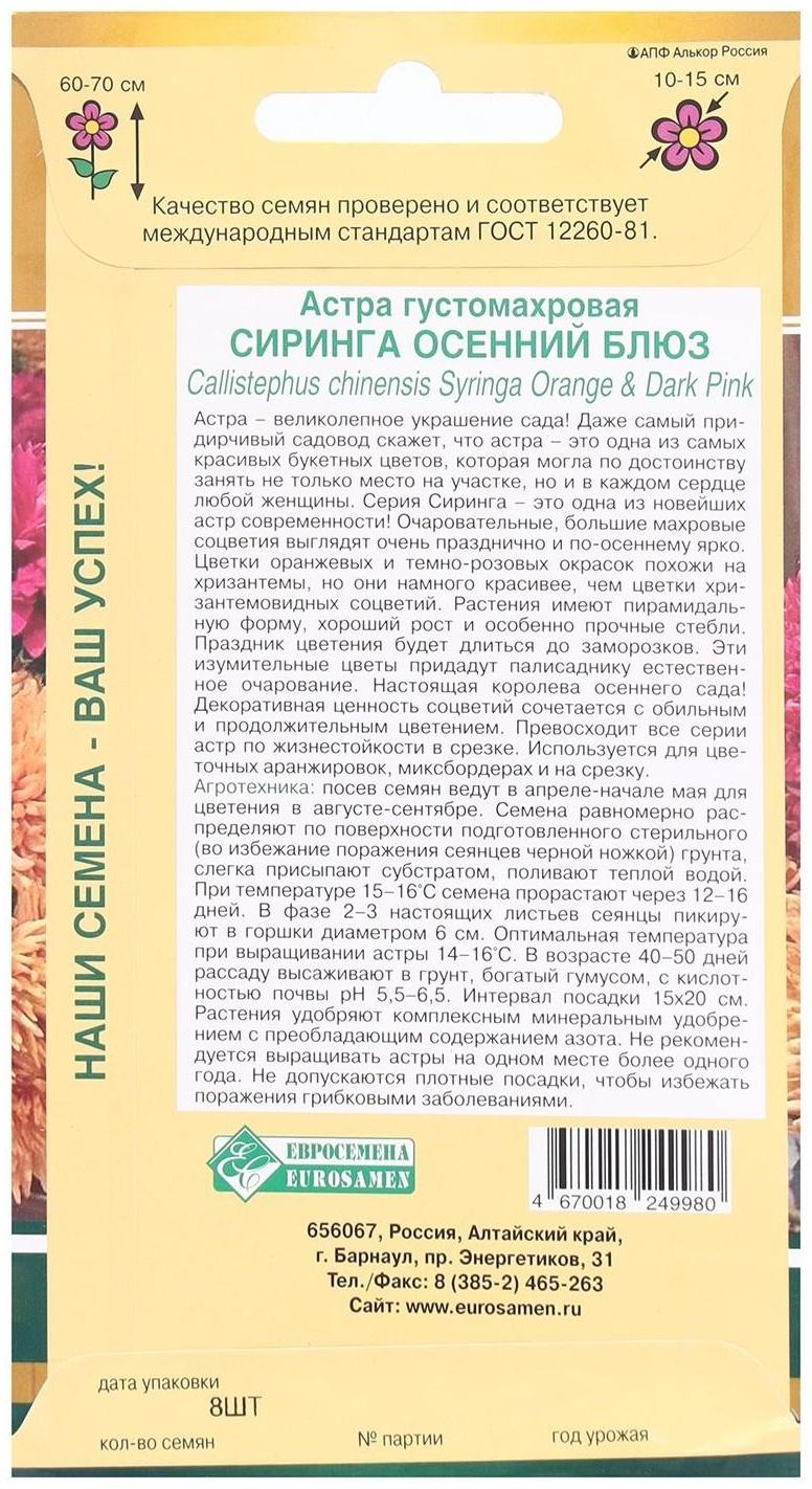 Семена Цветов Астра густомахровая Сиринга Осенний Блюз, 8 шт