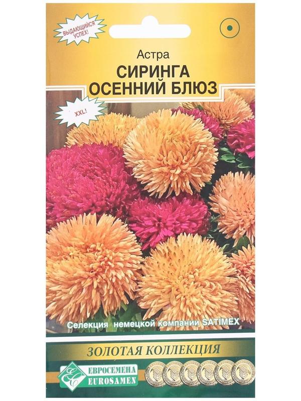 Семена Цветов Астра густомахровая Сиринга Осенний Блюз, 8 шт