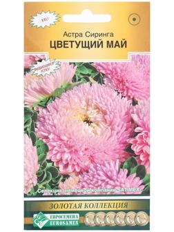 Семена Цветов Астра густомахровая Сиринга Цветущий Май, 0,1 г