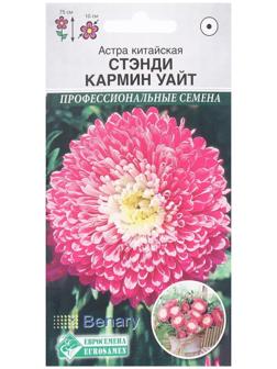 Семена Цветов Астра китайская Стэнди Кармин Уайт, 10 шт