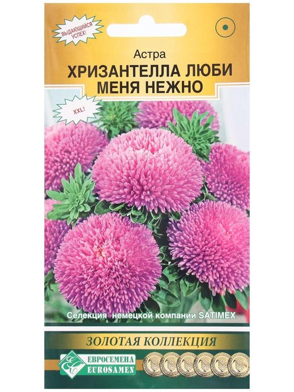 Семена Цветов Астра китайская Хризантелла Люби меня Нежно, 5 шт