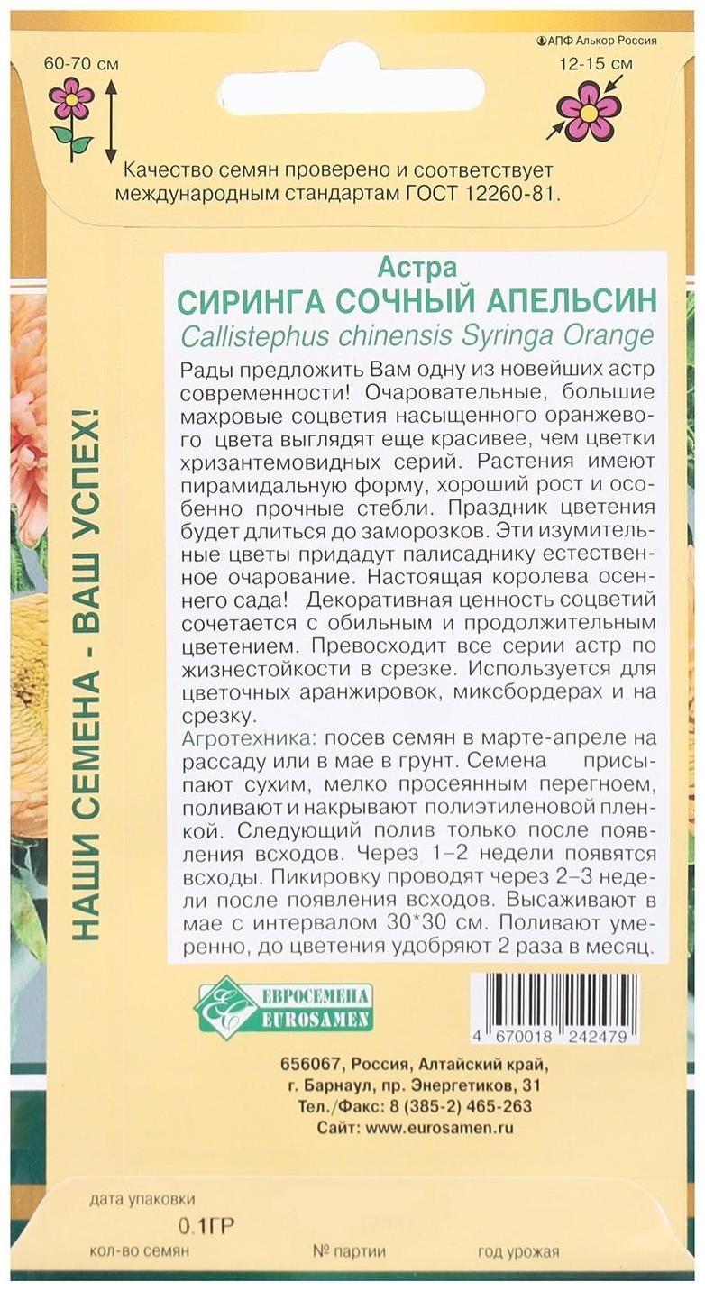 Семена Цветов Астра СИРИНГА Сочный апельсин, 0,1 г