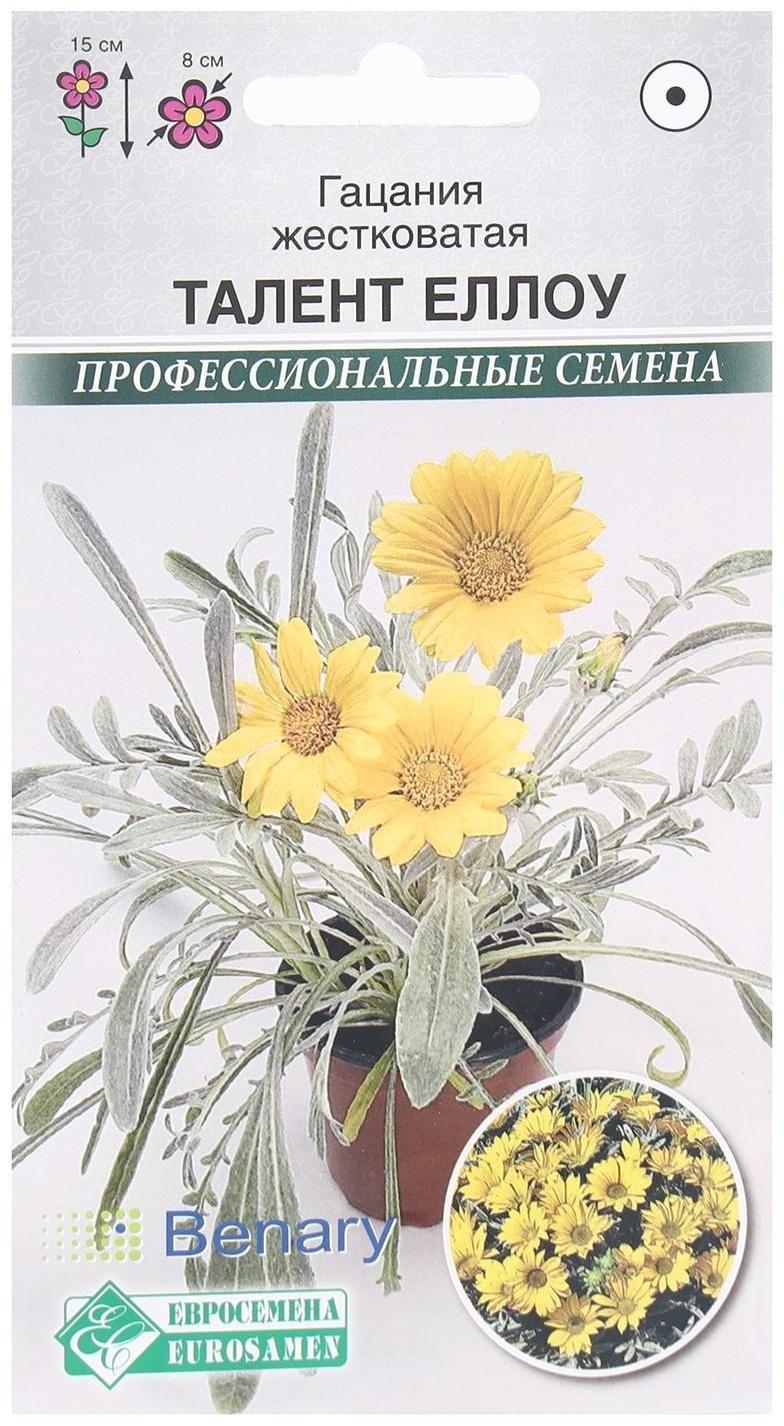 Семена Цветов Гацания жестковатая Талент Еллоу, 5 шт